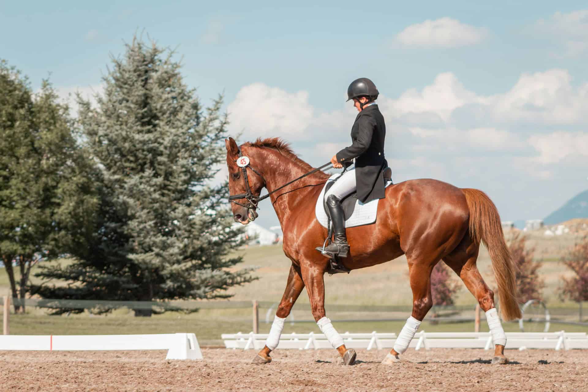 Woman Riding Horse