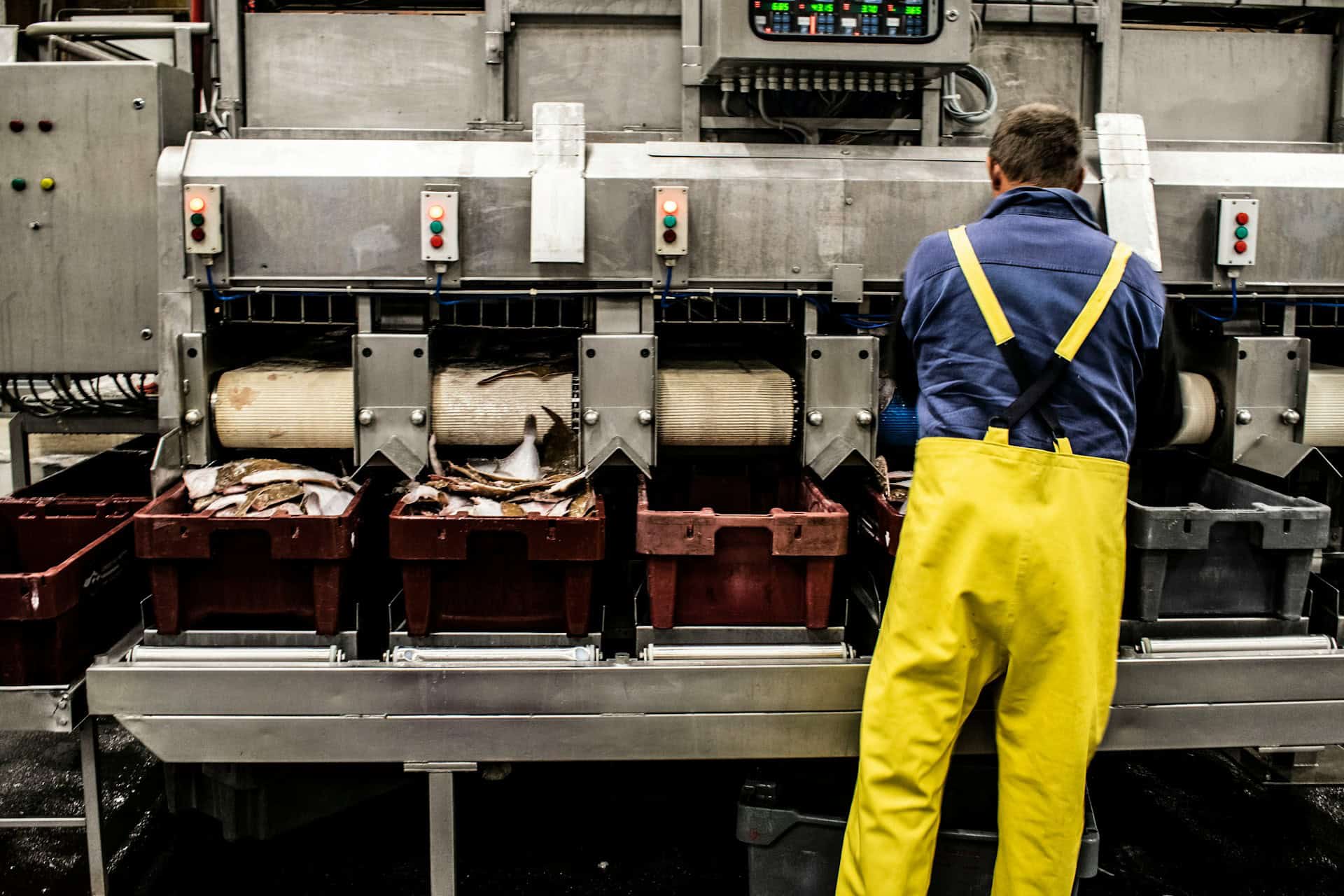 Worker Using Machines